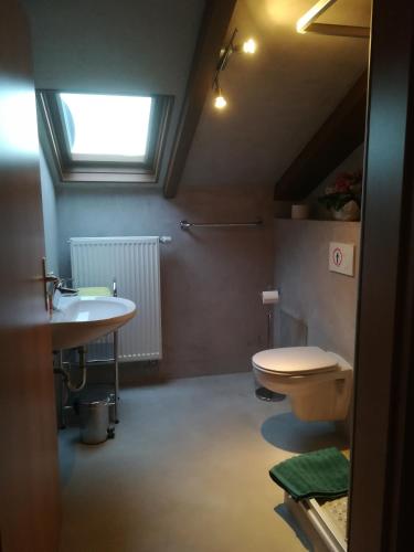 a bathroom with a toilet and a sink at Landhaus Irma in Bad Füssing