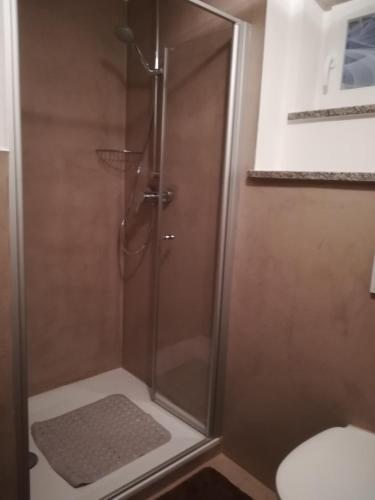 a shower with a glass door in a bathroom at Landhaus Irma in Bad Füssing