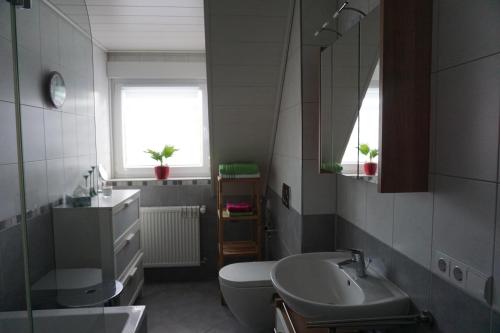 a bathroom with a sink and a toilet and a mirror at Fewo Jule in Thaleischweiler-Fröschen