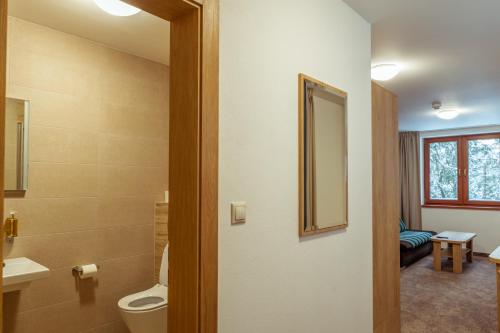 a bathroom with a toilet and a sink and a mirror at Hotel Jasná in Belá