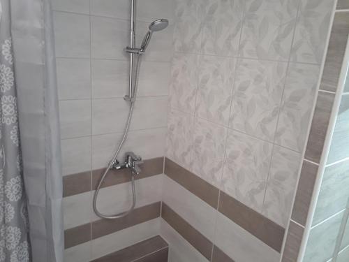 a shower with a shower head in a bathroom at LBE apartments in Narva