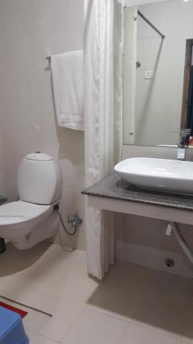 a bathroom with a white toilet and a sink at Leh Stumpa in Leh