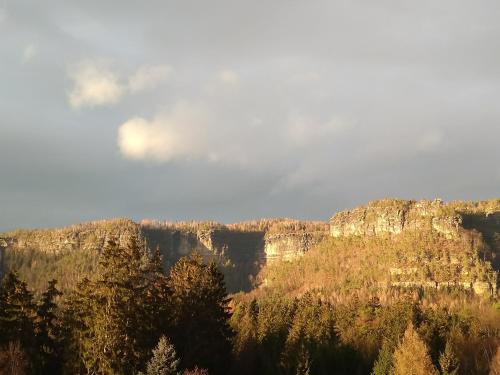 a view of a canyon with trees and mountains at Penzion u Marešů in Hřensko