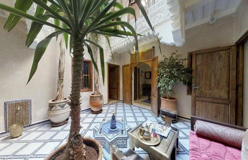 a living room with a palm tree and a couch at Riad abaka by ghali 2 in Marrakech