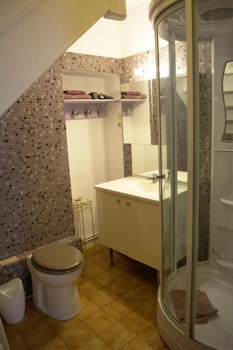 a bathroom with a toilet and a shower and a sink at Autan des Couleurs in Albi