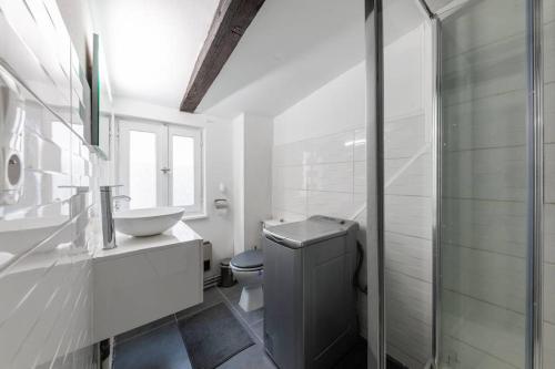 a white bathroom with a toilet and a sink at Central & Cosy Apartment Strasbourg City Center in Strasbourg
