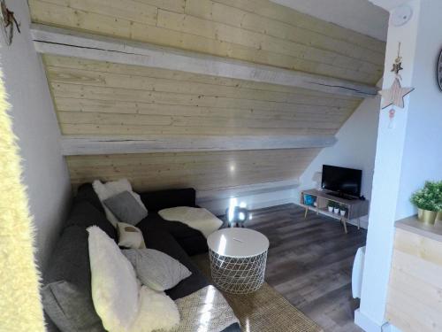 TV i/ili zabavni centar u objektu Bel appartement cosy - PIED DES PISTES avec local à ski - 6 personnes