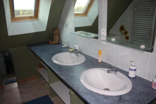 łazienka z 2 umywalkami i lustrem w obiekcie gite de l'aunay w mieście Fléré-la-Rivière