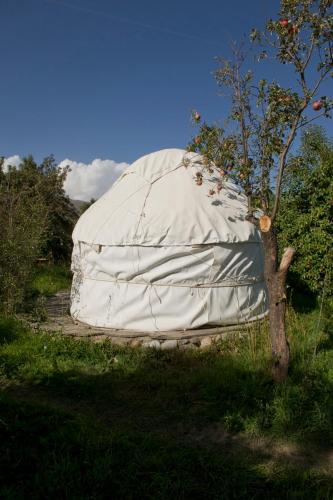 Gambar di galeri bagi Bel-Zhan Yurt Lodge di Grigor'yevka