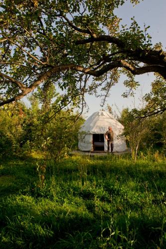 Gambar di galeri bagi Bel-Zhan Yurt Lodge di Grigor'yevka