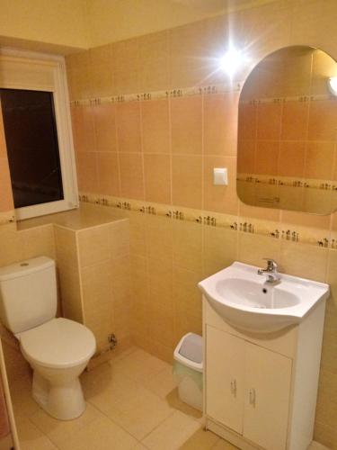 a bathroom with a white toilet and a sink at Gazdówka "Pod Pstrągiem" in Korbielów