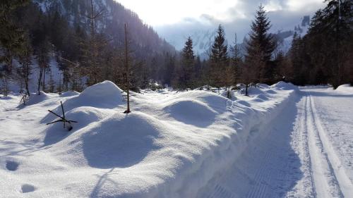a pile of snow on a road with trees at Privathaus Achensee in Achenkirch