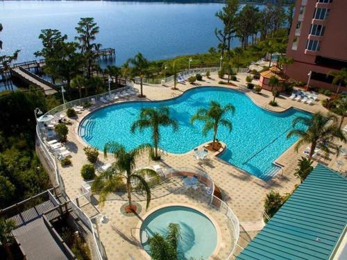 an overhead view of a large swimming pool with palm trees at Penthouse Close to Disney area and Malls water view in Orlando