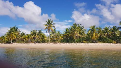 a beach with palm trees and the water at Casas Barra Sol in Barra Grande