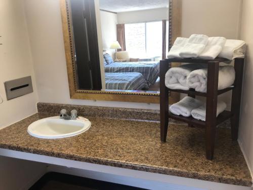 a bathroom counter with a sink and a mirror at Daniel Boone Motor Inn in Pikeville
