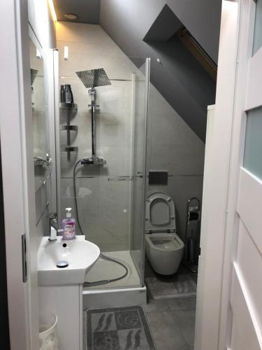 a bathroom with a shower and a sink and a toilet at Apartament - Loft in Piła