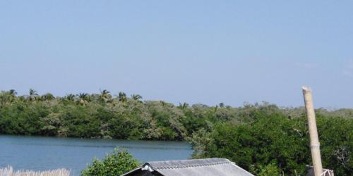 Un paisaje natural cerca de la casa de huéspedes