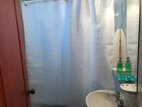 y baño con cortina de ducha y lavamanos. en Departamento Belgrano III en Salta