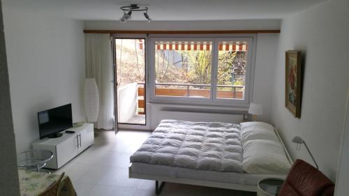 Un dormitorio con una cama y una ventana grande en Leuca 11, en Leukerbad