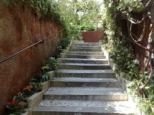 a set of stairs with plants on a wall at York House Lisboa Hotel in Lisbon