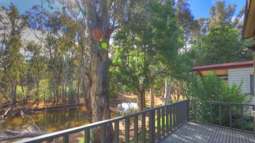 a tree next to a house with a fence and a bridge at Moama Riverside Holiday Park in Moama