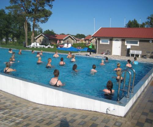 a group of people in a swimming pool at Talluddens Stugby in Färjestaden