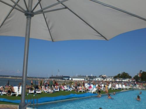 a group of people in a swimming pool with an umbrella at Talluddens Stugby in Färjestaden