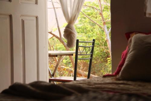 a cat sitting on a table looking out of a window at FARINHA DE PAU - ECO B&B in Tarrafal