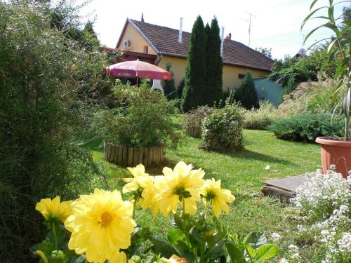 a garden with yellow flowers in front of a house at ENZO Apartman Gyula in Gyula