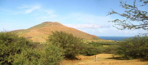 a person standing on a field with a mountain at FARINHA DE PAU - ECO B&B in Tarrafal