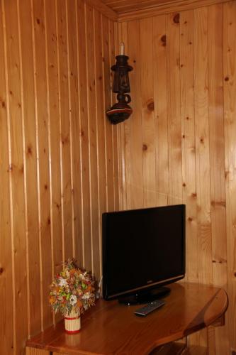 a television sitting on a wooden table in a room at Cottage Milena in Mykulychyn