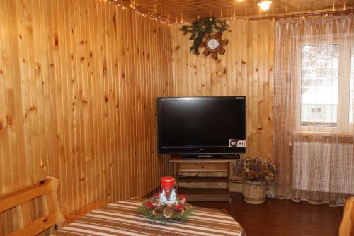 a living room with a flat screen tv on a wooden wall at Cottage Milena in Mykulychyn