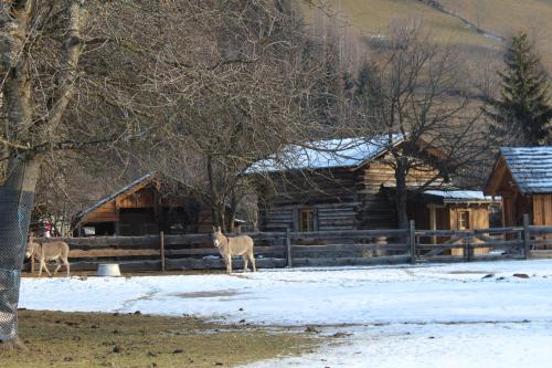 two deer standing in front of a log cabin at Schlosswirt Chalets & Apartments in Großkirchheim
