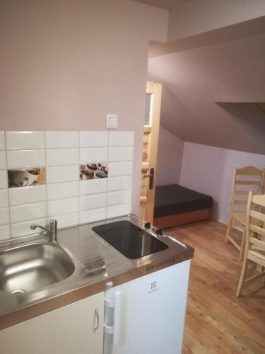 a kitchen with a stainless steel sink in a room at Apartament Rodzinny in Nowy Targ