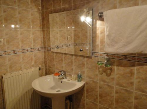 a bathroom with a sink and a mirror at Hotel El Biar in Alger