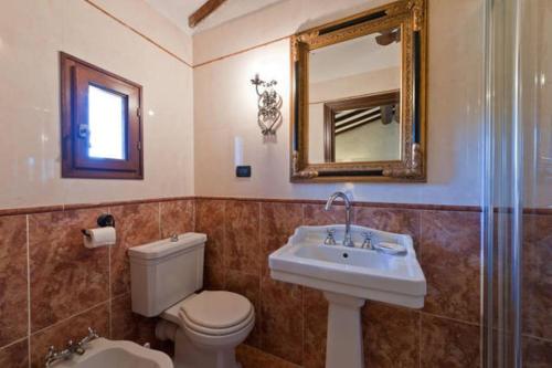 a bathroom with a toilet and a sink and a mirror at Villa Eugenia Tuscany with private Pool, Sauna & Gym in Vicchio