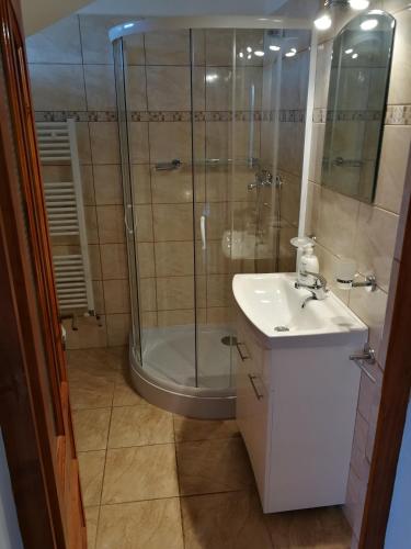 a bathroom with a glass shower and a sink at Casa Juliana in Rîu Bărbat
