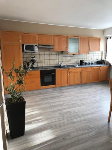a large kitchen with wooden cabinets and a potted plant at Julien Felix 1 in Kierspe