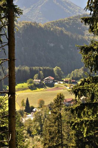 Příroda nedaleko apartmánu
