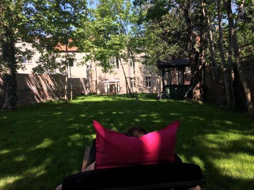 a person laying on a couch with a pink pillow at JETHON Studio-Appartement im Grünen in Bernburg