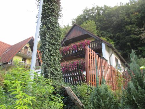 Zahrada ubytování Apartments in Behringersmühle