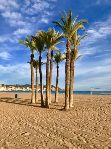 Neptuno on the Beach photo 30