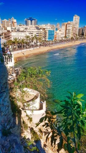 Neptuno on the Beach photo 31