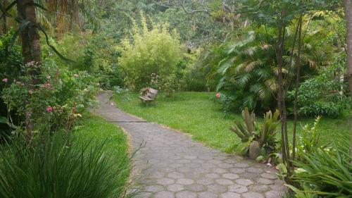 a stone path with a bench in a garden at Pousada do Pescador in Florianópolis