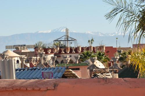 a view of a building with potted plants on the roof at Riad Sania By Ghali in Marrakech