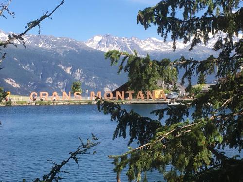 Gallery image of Hotel Elite in Crans-Montana