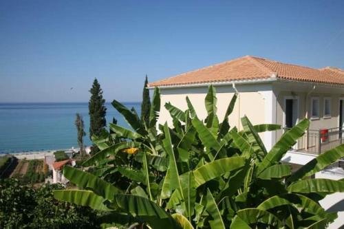 a house with green plants in front of it at Miloni Studios in Lourdhata