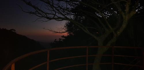 Fotografie z fotogalerie ubytování Mora's Place B&B v destinaci Monteverde Costa Rica