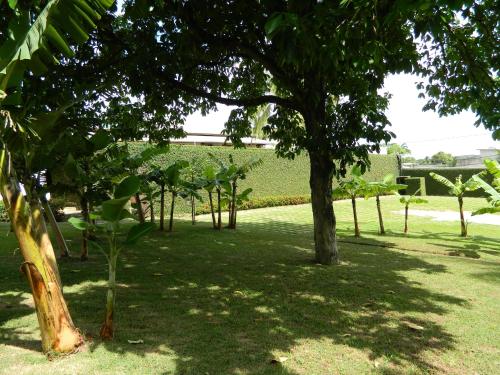Taman di luar Hotel Pousada Salvador Paradise