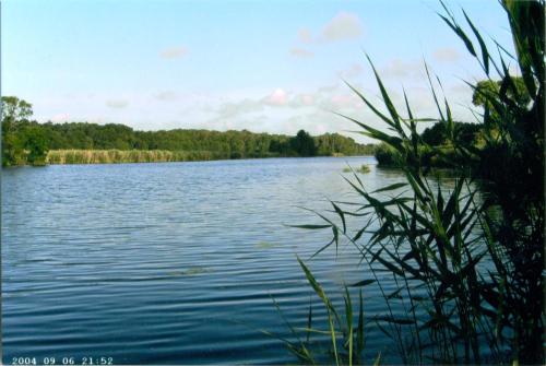 Naturlandschaft in der Nähe der Ferienwohnung